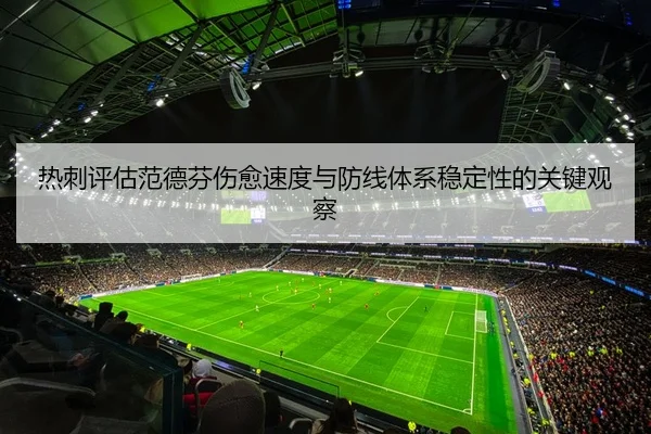 热刺评估范德芬伤愈速度与防线体系稳定性的关键观察